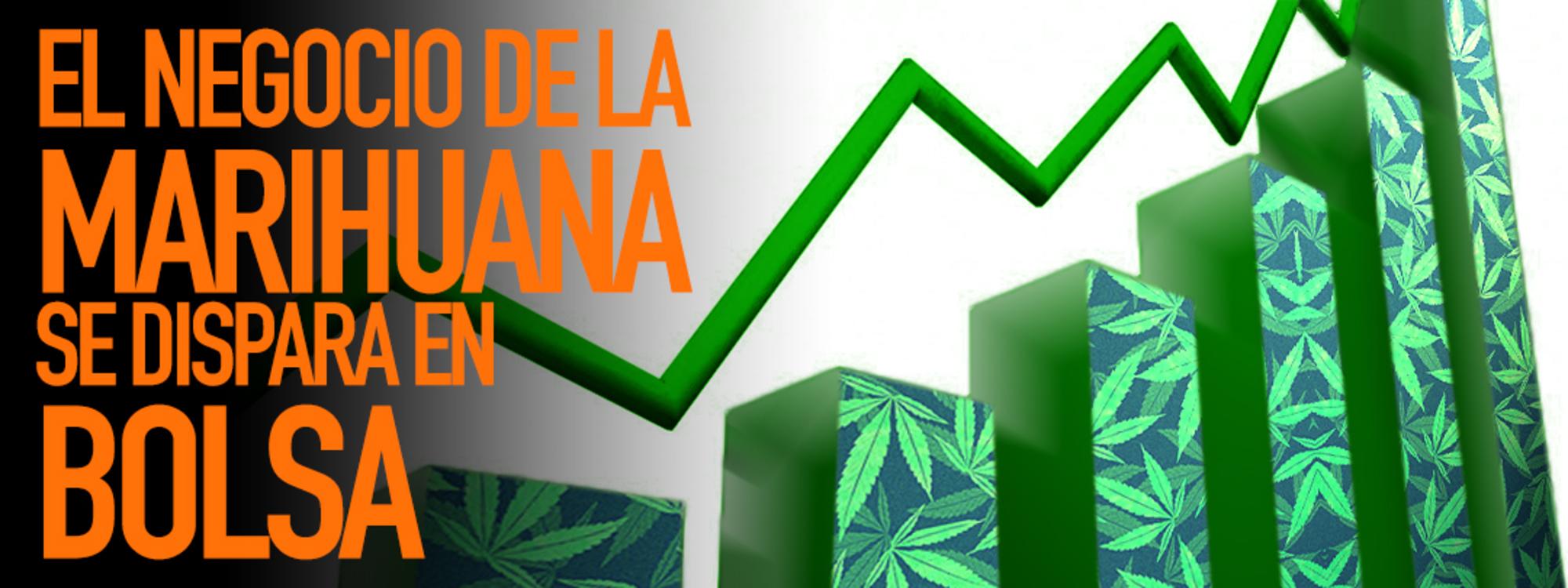 cannabis bolsa